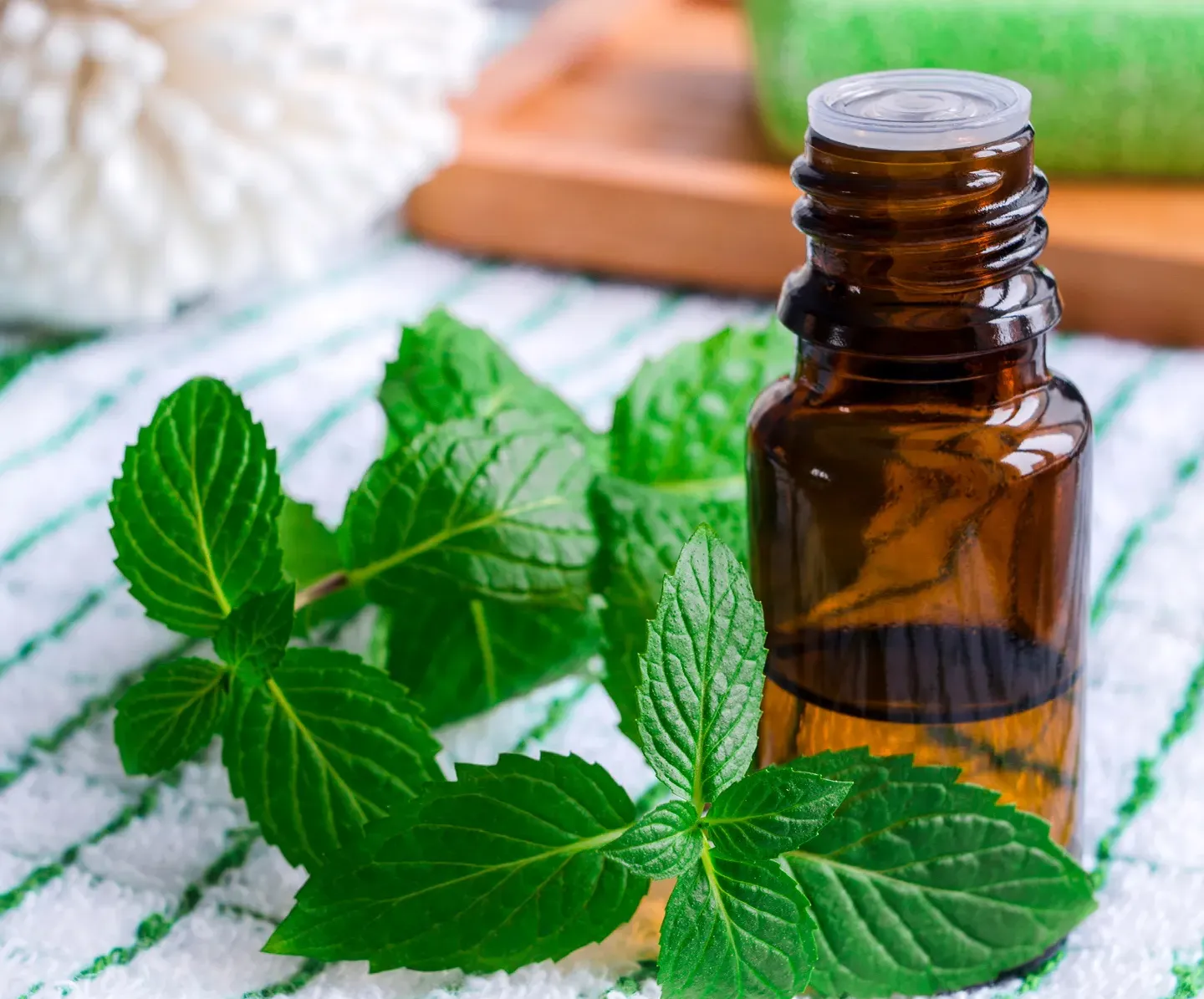 Peppermint Leaf