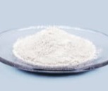 Probiotic Blend